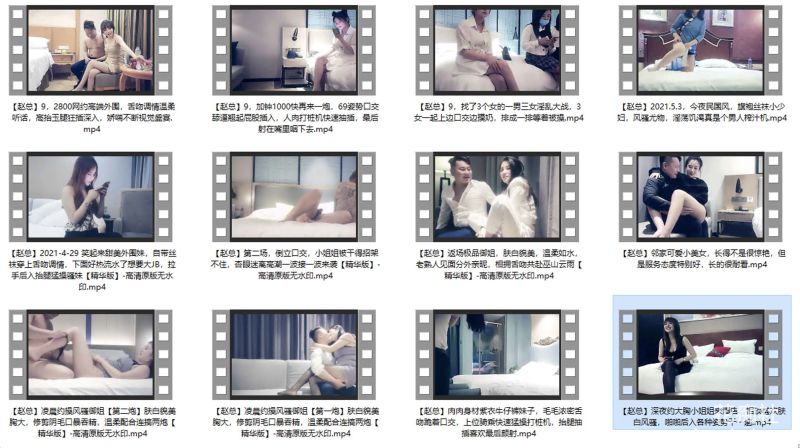 赵总探花