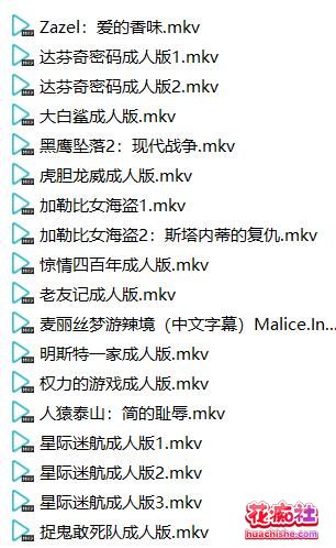 美国电影成人版合集目录