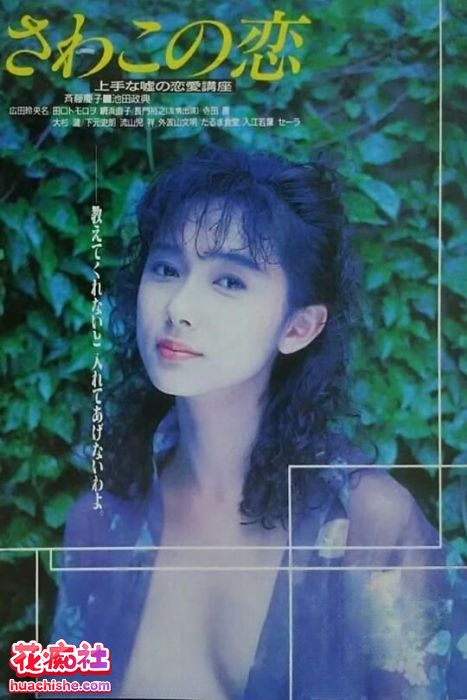 90年代个人收藏日本三级片合集 33v97G